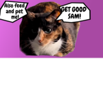 Get Good Sam!