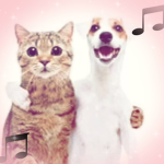 ∼Cats & dogs∼