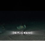 ($ t i c h e s)