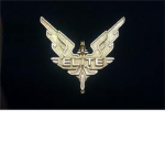 Elite Wings of Battle : Special Ops