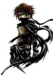 The shadow ninja (T.S.N)