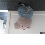 Georgie Pig Gang