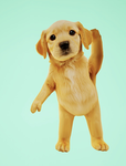 Easton’s Hangout