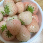 Strawberry.png