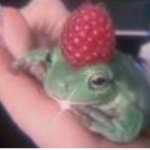 Froggy buddies!