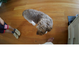 Oliver