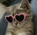 luvsiq