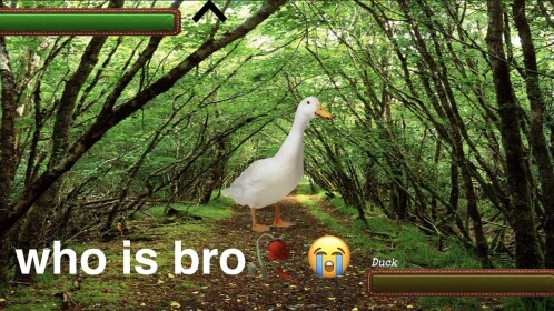 Fight A Duck In The Forest