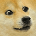 TopDogeLord