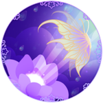 🌼Iridescent Wings
