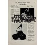 Y2K.CYB3R