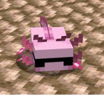 Void_Ally Group