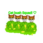 Cat Bush Squad!