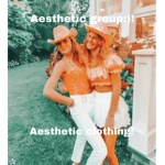 Aesthetic group:)!