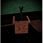 Plant’s.