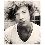 SUPER HARRY STYLES FAN/LOVER CLUB