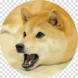 DOGE.