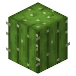 RobloxCactus Army