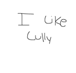 CULLY HUB