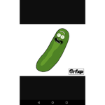 Pickle ric
