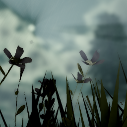 Weeping Island || Showcase