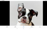 Oreo biscuit army