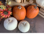$PUMKIN$