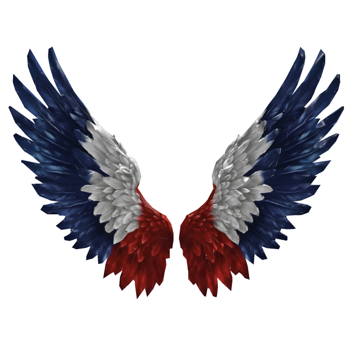 Red White Blue Angel Wings