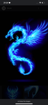 Blue rivals karate