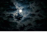 The Dark Light |TDL|