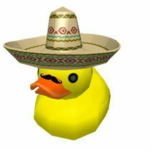 Ducky Group Club