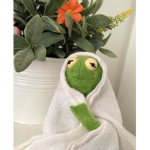 kermit because yes