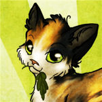 Warrior Cats Fan Club (accepts all)