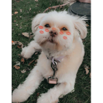 HEY!!!!<3