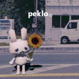 所