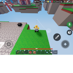 The Pro BedWars Playera