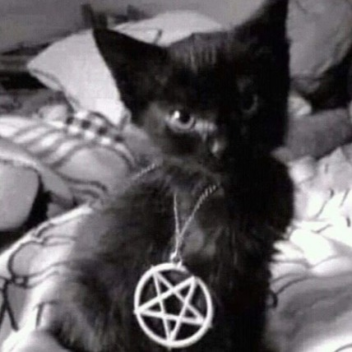 ✦