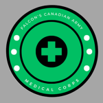 Falcon's Medical corps