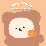 vans angels
