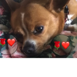 I Donate robux<3