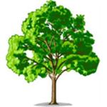 OT Tree Knights!