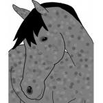 ~Amber Creek Stables~