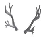 Antlers (Series) Fan Group