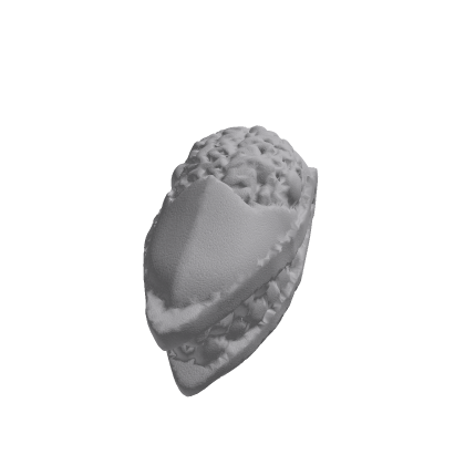 Nomu Head