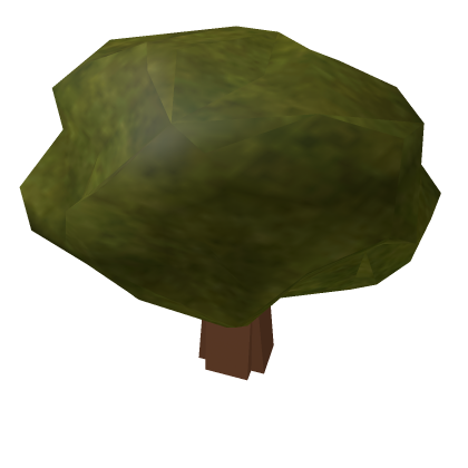 Old 2009 Tree