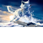 What up dogs around the world