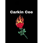 Cee Fan Group
