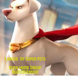 (Leaked!)Leauge Of Super Pets Names