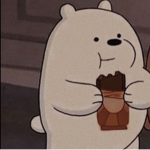 *icebear group*