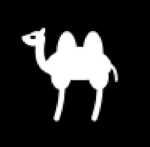 Camel Gaming Studios